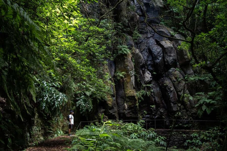 Madeira: PR 9 - Levada do Caldeirão Verde Hike Transfer - UNESCO Laurissilva Forest and why the levadas are more than scenery