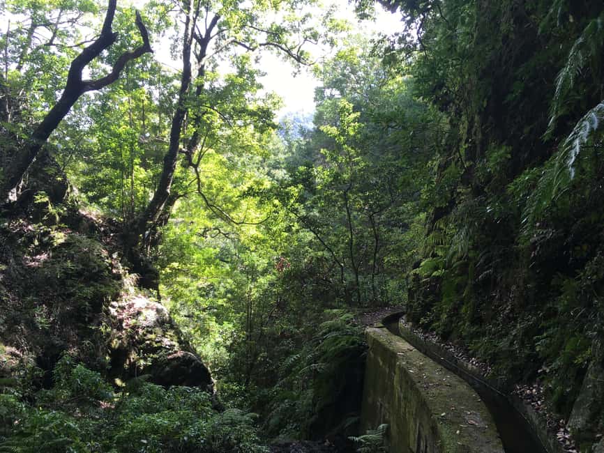Madeira: PR 9 - Levada do Caldeirão Verde Hike Transfer - Food, bathrooms, and the small practical stuff that matters