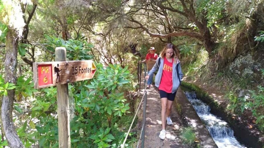 Madeira: Rabaçal, Risco and 25 Fontes Guided Hiking Tour - Key highlights you should care about