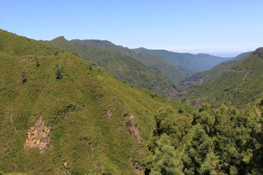 Madeira: Rabaçal, Risco and 25 Fontes Guided Hiking Tour - Guides and small-group pacing: where the quality really shows
