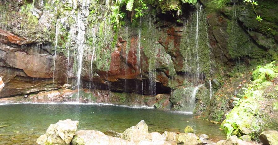 Madeira: Rabaçal, Risco and 25 Fontes Guided Hiking Tour - Getting to Paúl da Serra: pickup, bus ride, and the built-in breaks