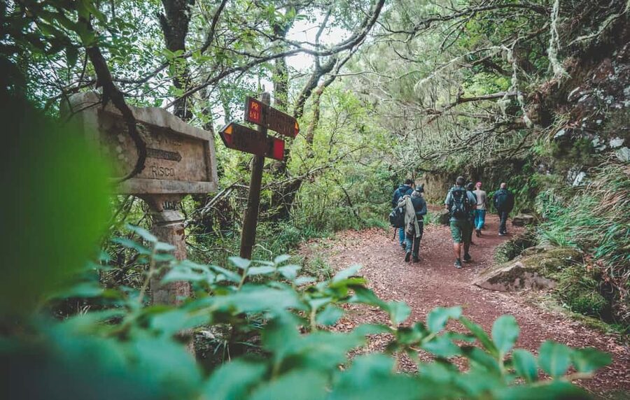 Madeira: Rabaçal Valley and the 25 Fountains Hike - Key highlights you’ll remember