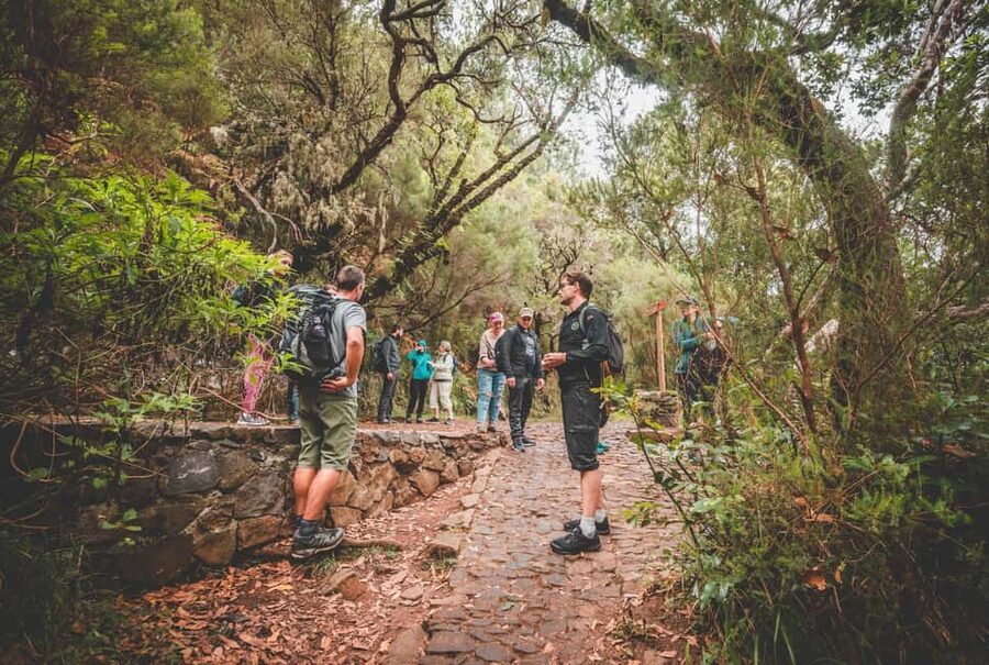 Madeira: Rabaçal Valley and the 25 Fountains Hike - Risco Waterfall: the 700-meter detour that resets the mood