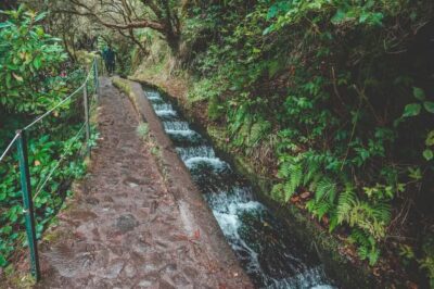 Madeira: Rabaçal Valley and the 25 Fountains Hike - Entering the UNESCO Laurisilva forest at walking pace