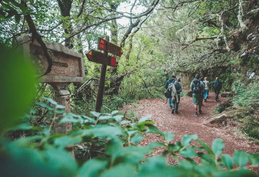Madeira: Rabaçal Valley and the 25 Fountains Hike - The 25 Fontes lagoon walk: 11km, ~75m gain, and managing crowds