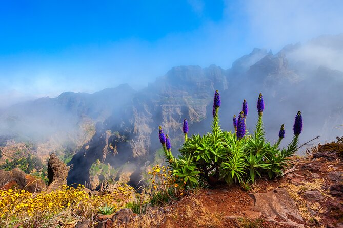 Madeira Stairway to Heaven to Larano Hike Mountain to Sea - Walking Madeira’s Stairway to Heaven (without the chaos)