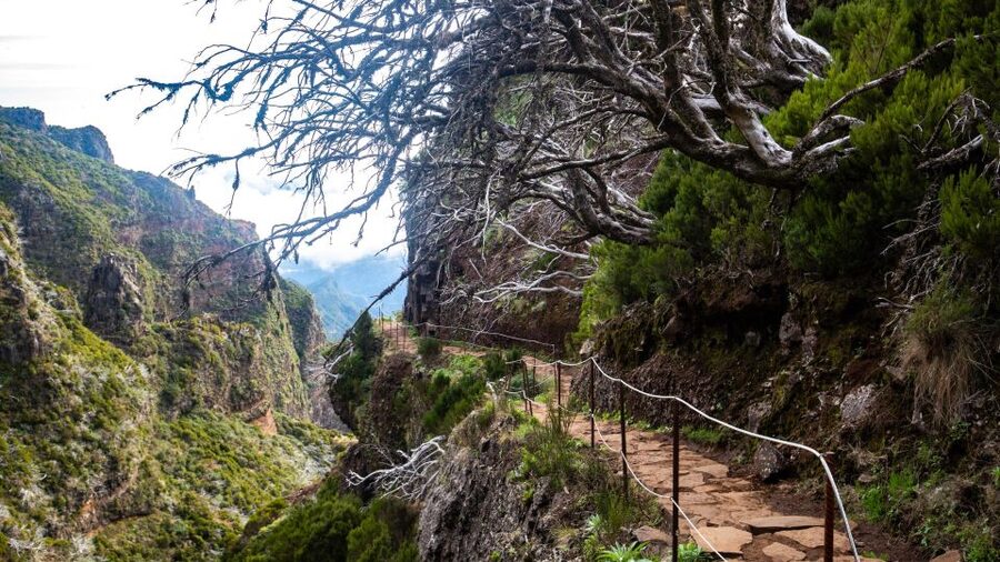 Madeira Stairway to Heaven to Larano Hike Mountain to Sea - Transporte and timing: how the 8-hour structure works