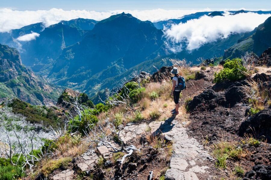 Madeira Stairway to Heaven to Larano Hike Mountain to Sea - Price and value: what $88 buys you on Madeira