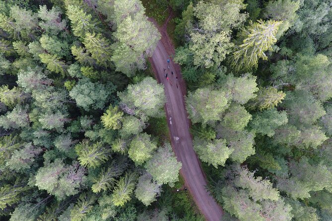 Magical Taiga Forest Hike with Lunch and Transportation - What You’ll Learn on the Walk: Mushrooms, Berries, and Forest Clues