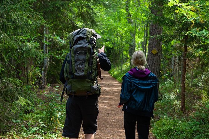 Magical Taiga Forest Hike with Lunch and Transportation - The Sustainability Angle: Small Choices That Matter on the Ground