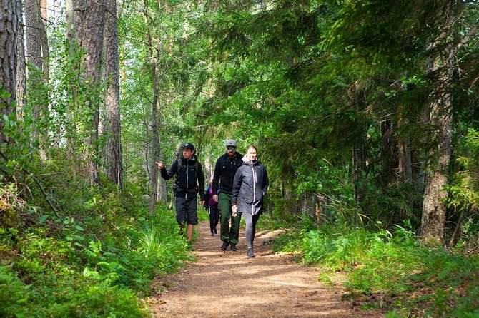 Magical Taiga Forest Hike with Lunch and Transportation - Price and Value: Is $187.53 Worth It?