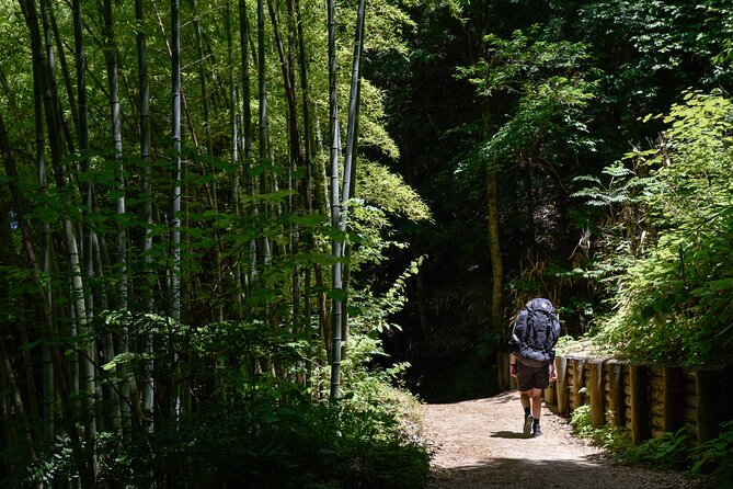 Magome & Tsumago Nakasendo Trail Day Hike with Government-Licensed Guide - The hike basics: 8 km, a half-day rhythm, and real footwork