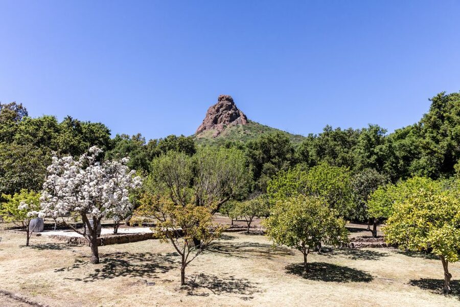 Malibu: Guided Vineyard Hike with Photo Stops and Wine - Price and Value: Is $49 a Good Deal Here?