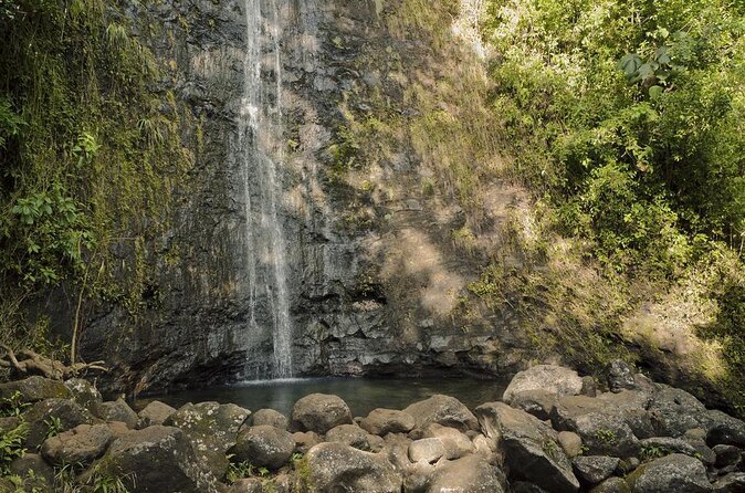 Manoa Waterfall Hike with Waikiki Pickup & Healthy Lunch - Key highlights worth getting excited about