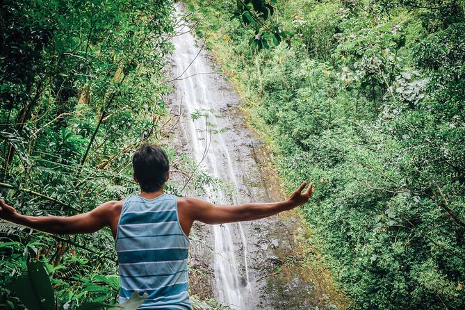 Manoa Waterfall Hike with Waikiki Pickup & Healthy Lunch - The rainforest trail: what the hike really feels like