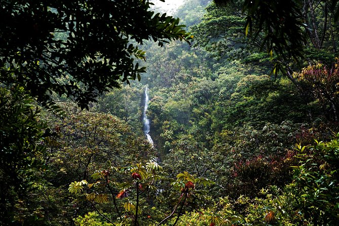 Manoa Waterfall Hike with Waikiki Pickup & Healthy Lunch - Tantalus Lookout lunch at Andy’s Sandwiches: the payoff after the hike