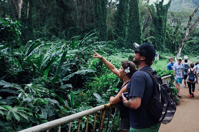 Manoa Waterfall Hike with Waikiki Pickup & Healthy Lunch - Price and value: why $107.10 can make sense