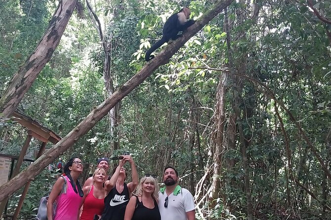 Manuel Antonio National Park guided tour - Why Manuel Antonio Works So Well for Wildlife