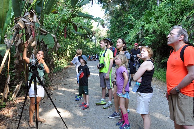 Manuel Antonio National Park Hiking Tour from Jacó - Lunch and Beverages: What to Expect From the Food Stops