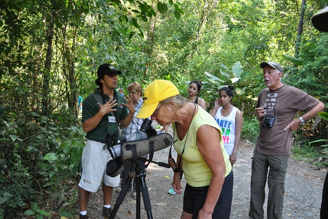 Manuel Antonio National Park Hiking Tour from Jacó - Wildlife Viewing: What You’ll Love Most