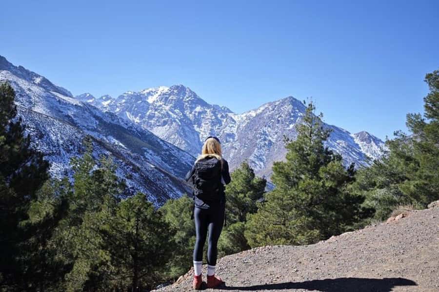 Marrakech: Atlas Mountains Summit Day Trek 2700m - Who should book this trek (and who should skip it)