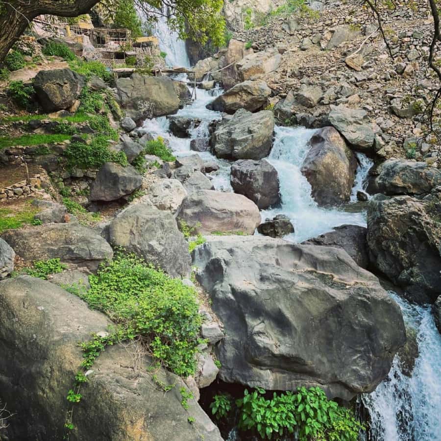 Marrakech: Atlas Mountains & Valleys Waterfall Hike w/ Lunch - Women’s argan oil cooperative: learning the process (and how not to get pressured)