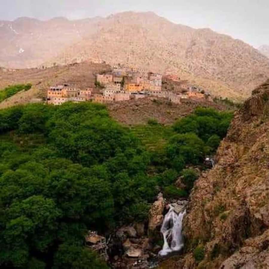 Marrakech: Atlas Mountains & Valleys Waterfall Hike w/ Lunch - Price and value: what $18 buys on a day in the High Atlas