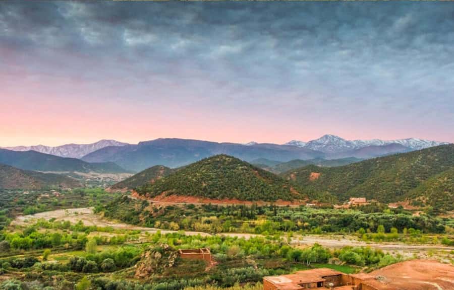 Marrakech: Ourika Valley Day Trip & Waterfalls Hike - Why Ourika Valley Works as a Marrakech Escape