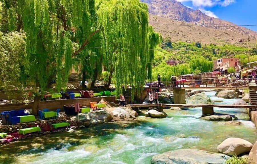 Marrakech: Ourika Valley Day Trip & Waterfalls Hike - Getting There: The Atlas Drive and How the Timing Plays Out