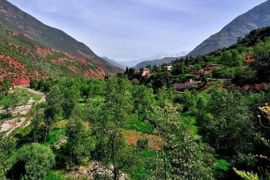Marrakech: ourika valley lunch & guided hike to waterfalls - Price and Logistics: What $12 Buys You (and What It Doesn’t)