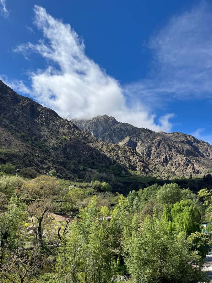 Marrakech: Ourika Valley Waterfalls Hike & Traditional Lunch - Riverside lunch: the best part, if you book it clearly