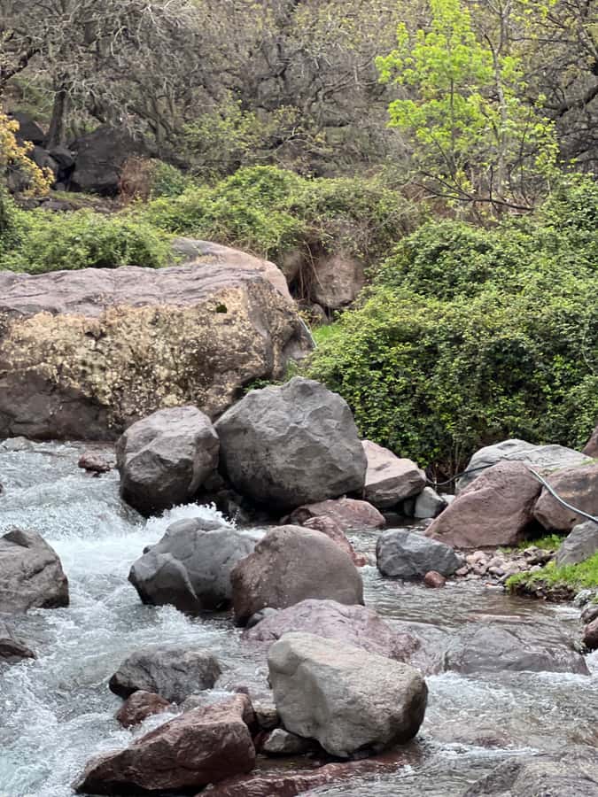 Marrakech: Ourika Valley Waterfalls Hike & Traditional Lunch - What to pack (and what to skip) for a comfortable hike
