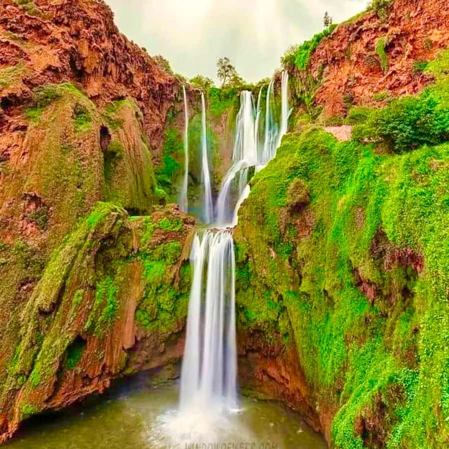 Marrakech: Ouzoud Waterfall, Guided Hike, Boat Ride & Lunch - The Boat Ride at the Base: The Best Photo Moment Isn’t From Far Away