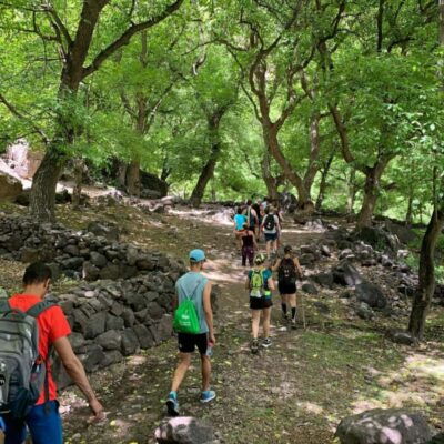 Marrakech: Ouzoud Waterfall, Guided Hike, Boat Ride & Lunch - Guided Hike Near Ouzoud: Monkeys, Stairs, and a Real Sense of Adventure