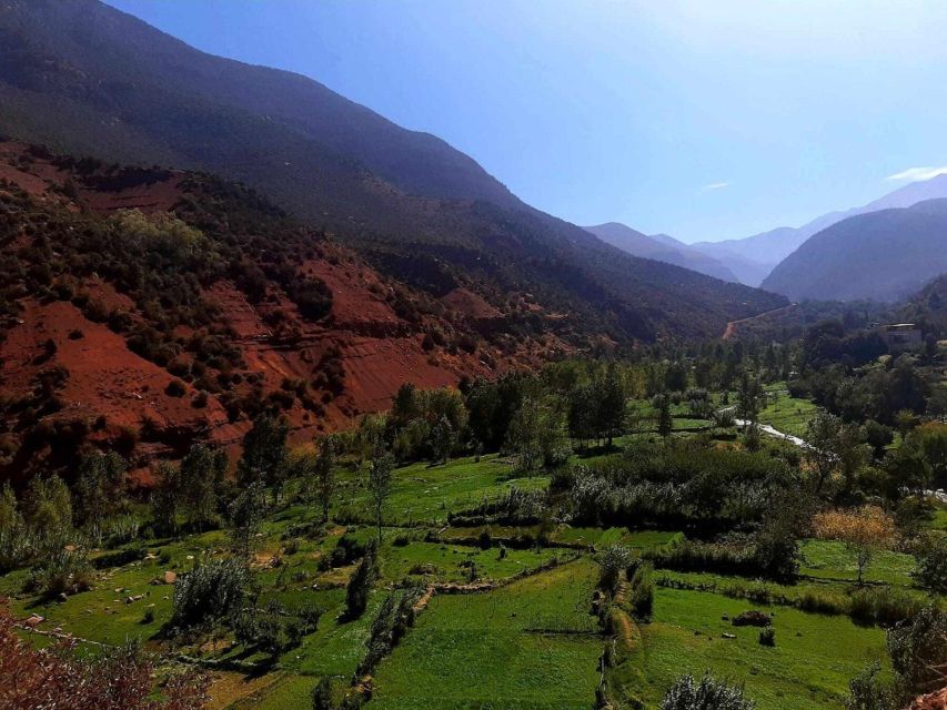 Marrakech: Ouzoud Waterfall, Guided Hike, Boat Ride & Lunch - Berber Lunch With Waterfall Views: Comfort Food With a Local Feel