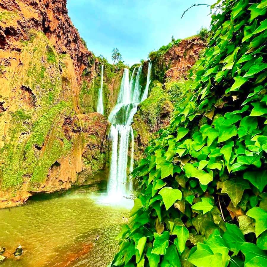 Marrakech: Ouzoud Waterfall, Guided Hike, Boat Ride & Lunch - What the 10 Hours Feel Like (and How to Plan for It)