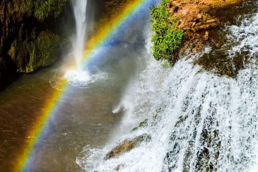Marrakech: Ouzoud Waterfalls Trip, Guided Hike & Boat Option - The guided mountain walk: olive-tree passes and real local context