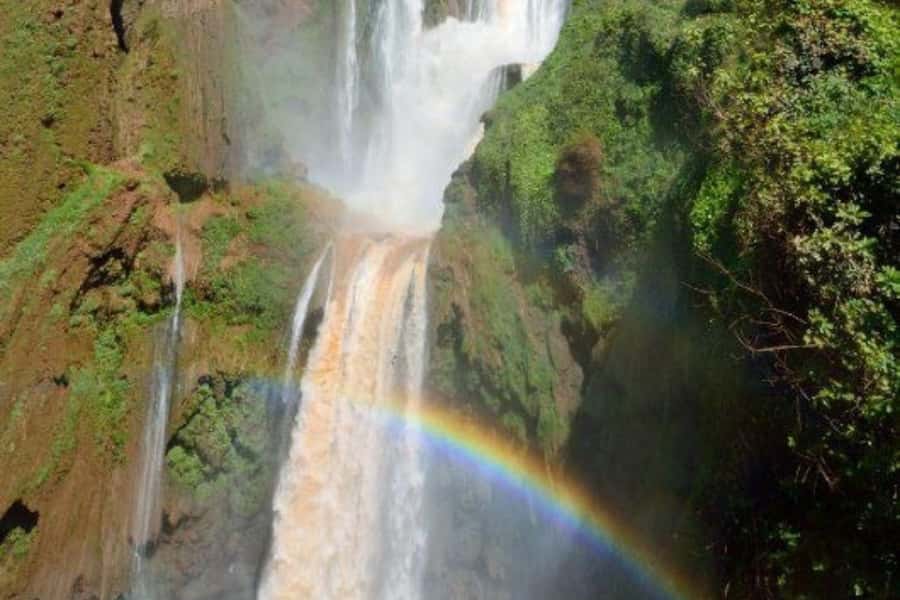 Marrakech: Ouzoud Waterfalls Trip, Guided Hike & Boat Option - Guides that can turn a day trip into a story: Hamid Tarzan and Adel