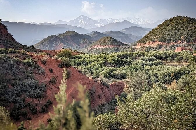 Marrakech: Quad Bike, Sunset, and Dinner Show in Agafay Desert - Price and value: is $32.65 really a good deal?
