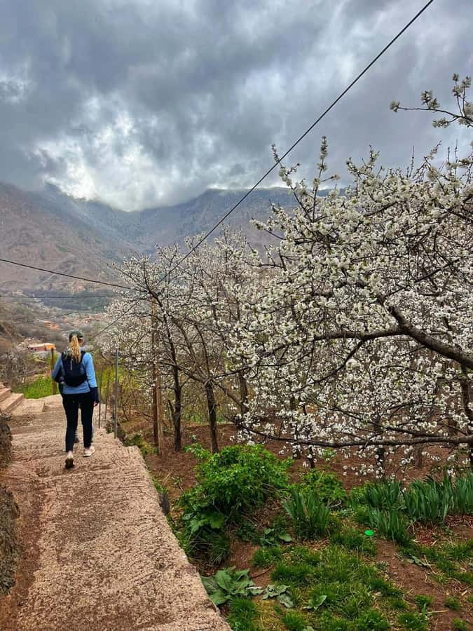 Marrakech: Tedli Summit Atlas Mountains Day Hike & Lunch - Key highlights worth planning around