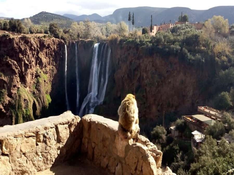 Marrakesh: Ouzoud Waterfalls Trip with Hike & Boat Option - Weather and comfort: bring a jacket, not bravado