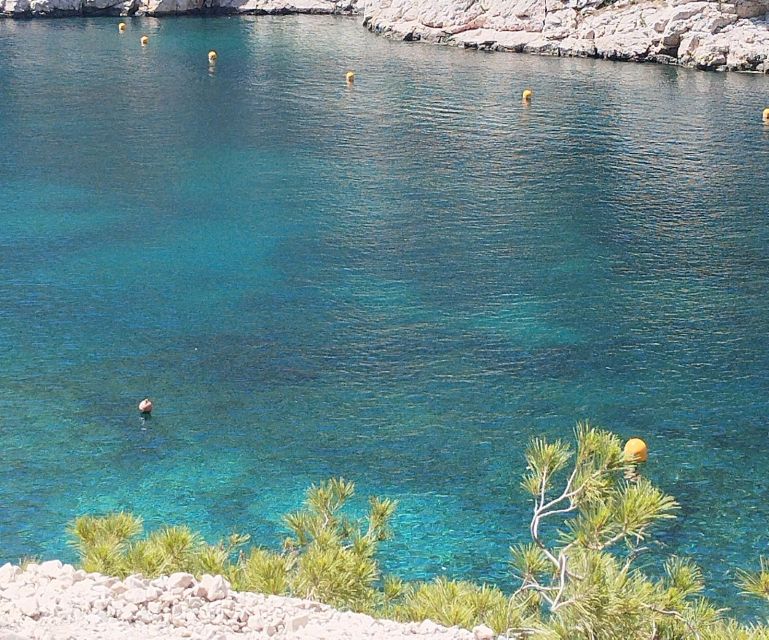 Marseille: Guided Hiking Calanques National Park from Luminy - How hard is this hike, really?