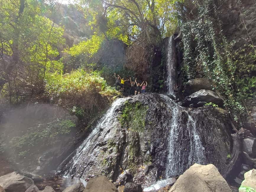 Maspalomas: Barranco de los Cernicalos Rainforest Hike - The full flow of the day: pickup, van rides, and about 4 hours on foot