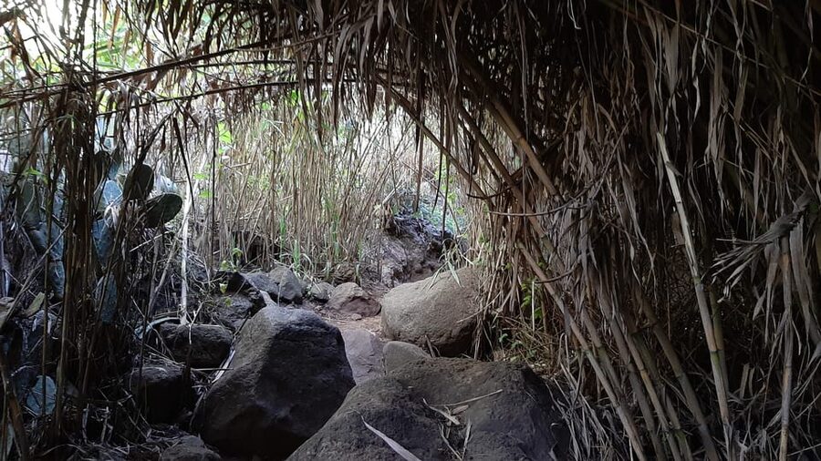 Maspalomas: Hiking in the Waterfalls with Sky Rebels - FAQ