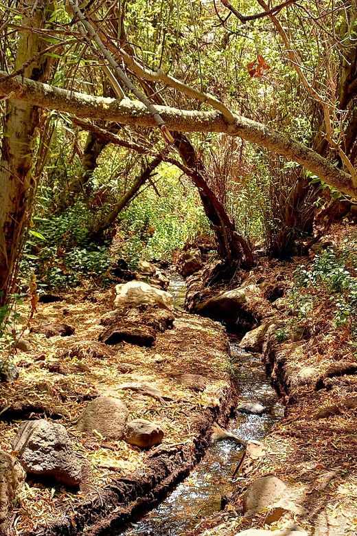 Maspalomas: Hiking in the Waterfalls with Sky Rebels - Food, snacks, and walking sticks: why the inclusions matter