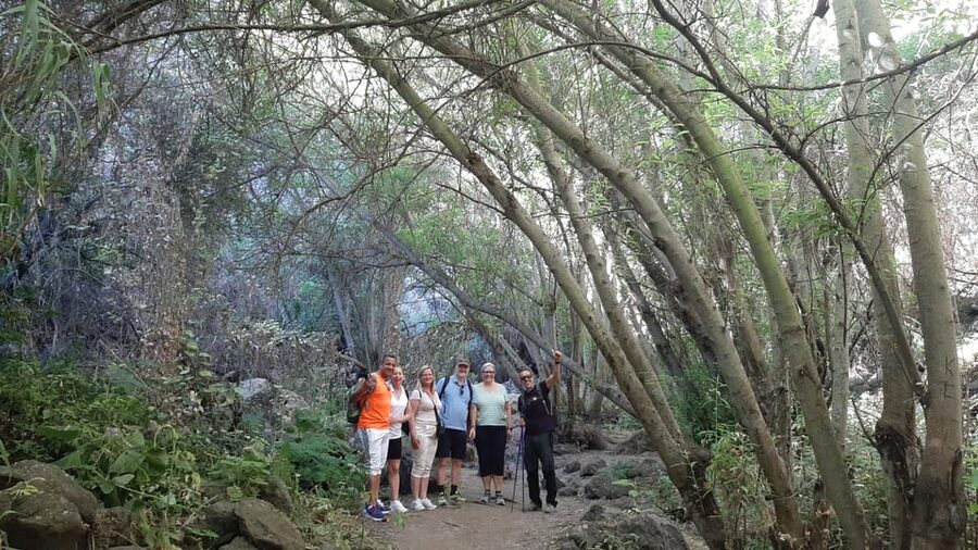 Maspalomas: Hiking in the Waterfalls with Sky Rebels - Should you book Sky Rebels waterfalls in Maspalomas?