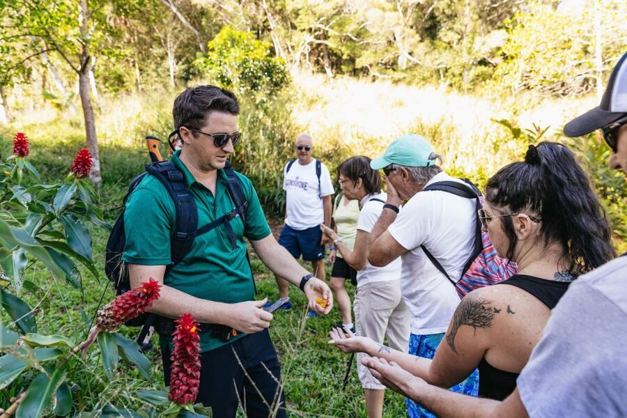 Maui: Rainforest Waterfalls Guided Hike with Picnic Lunch - Meeting at Kahului: how to start your waterfall day smoothly
