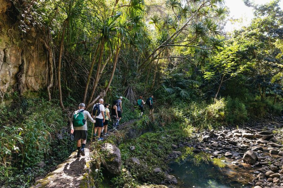 Maui: Rainforest Waterfalls Guided Hike with Picnic Lunch - Value check: does $187 feel fair for 5 hours?