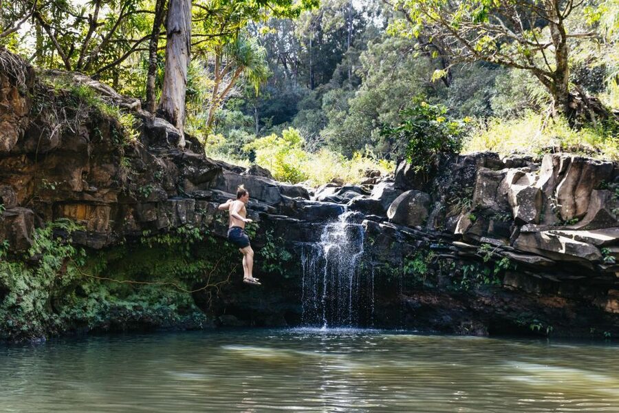 Maui: Rainforest Waterfalls Guided Hike with Picnic Lunch - Lunch beside the tumbling falls: what’s included and how to make it work