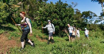 Maui: Rainforest Waterfalls Guided Hike with Picnic Lunch - Waterfall pools and optional cliff jumps: how to handle the thrill safely